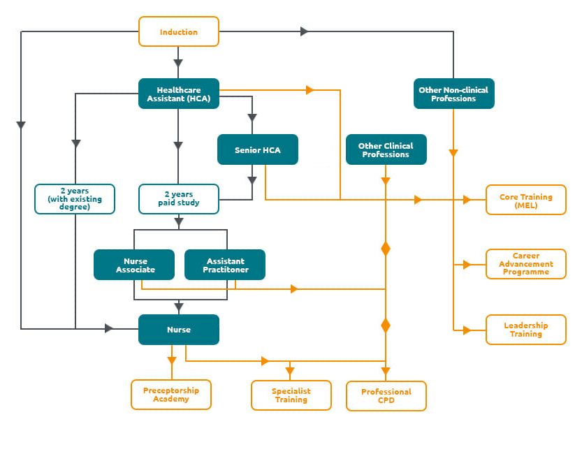 Career Development Journey