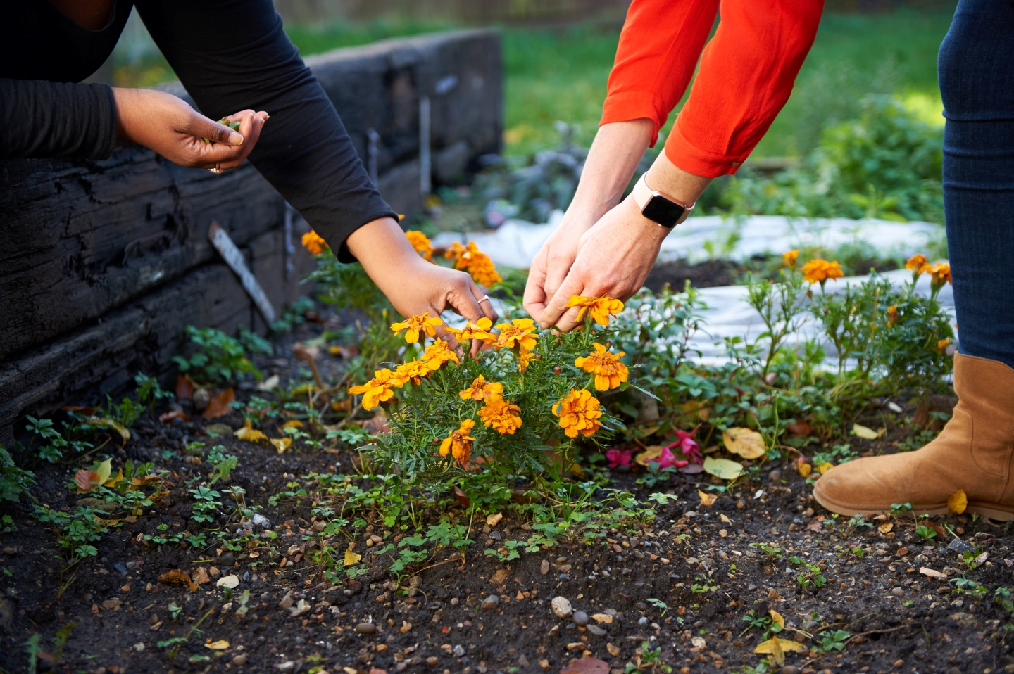 Bromley Road patients can access a wealth of community projects