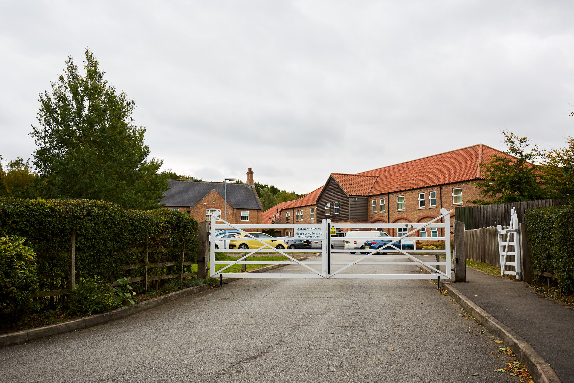 Kurn_181003-0141 (1)