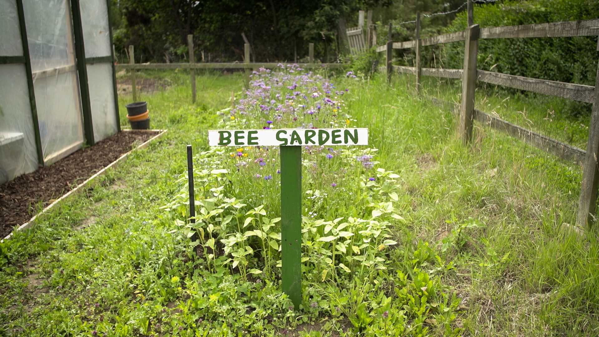 The Limes sensory garden