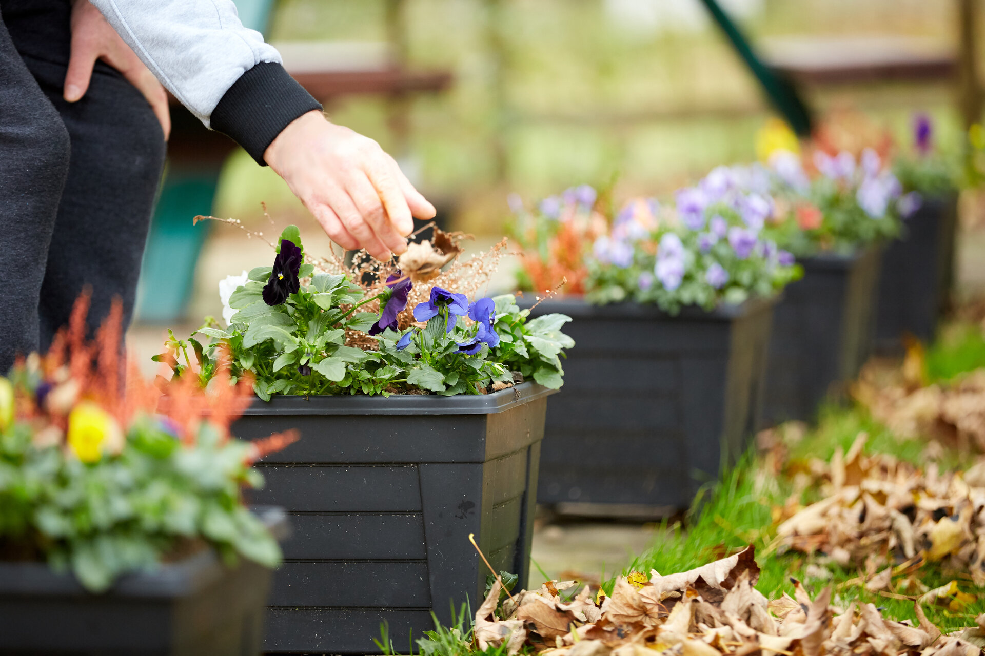 0020_Kurn_171122-0119 [edit] (1)